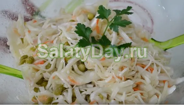 aromatniy salat kvashenoy 3bfd6aa Салат из квашеной капусты с луком