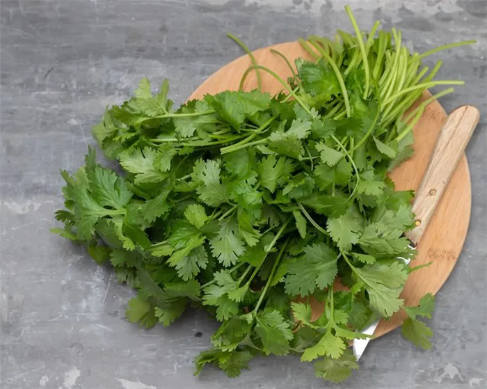 green-coriander-wooden-board-with-knife.jpg