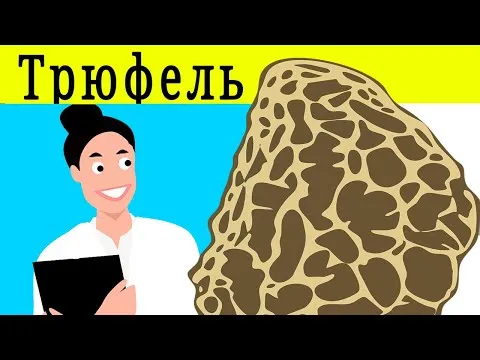 ТРЮФЕЛЬ ПОЛЕЗНЫЕ СВОЙСТВА | чем полезен трюфель, трюфель вкус, польза трюфеля