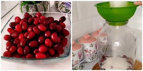 kompot kizila zimu 533b62 Компот из кизила