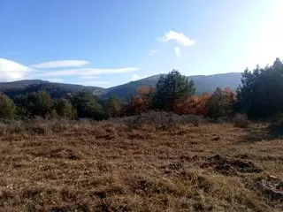 Охота на кабана в Крыму 30.11.2019